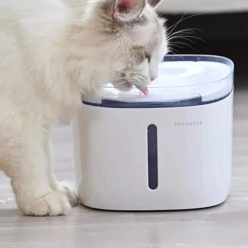 Distributeur D Eau Xiaomi Pour Chats Et Chiens Kibotek