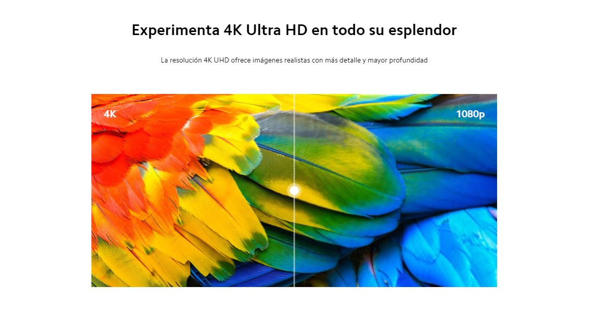 Mi TV P1 55丨Xiaomi España丨