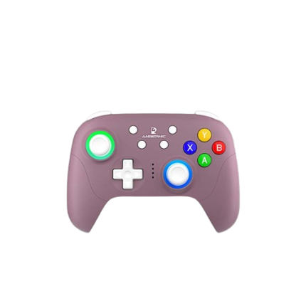 Controller di gioco ANBERNIC RG P01