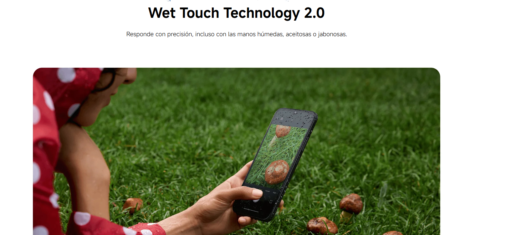 kiboTEK redmi 15 c 024