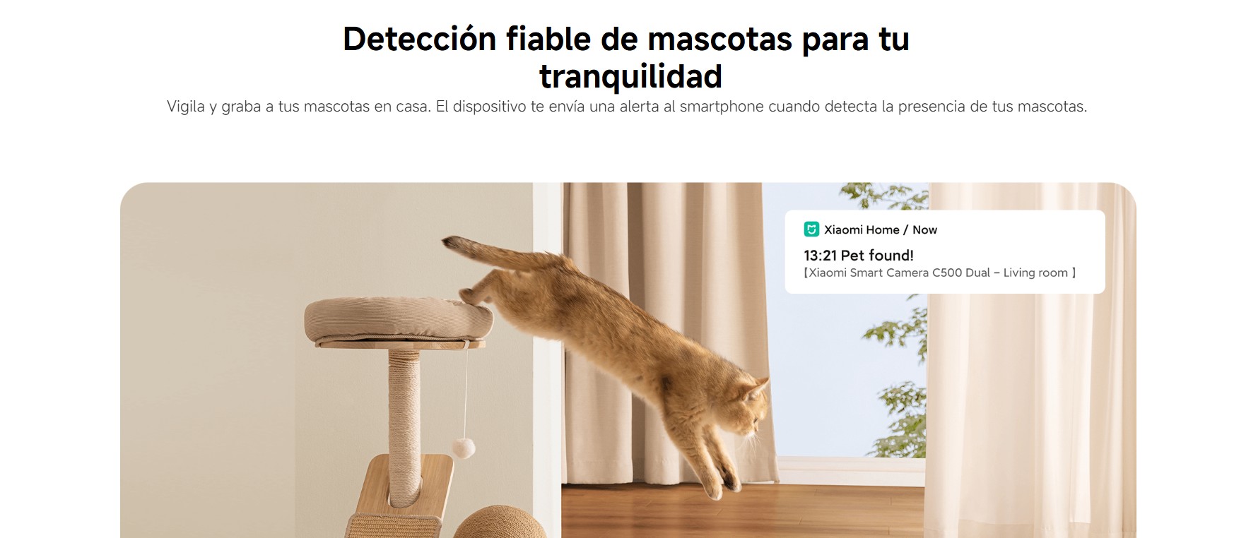 kiboTEK XIAOMI SMART CAMARA C500 DUAL 008