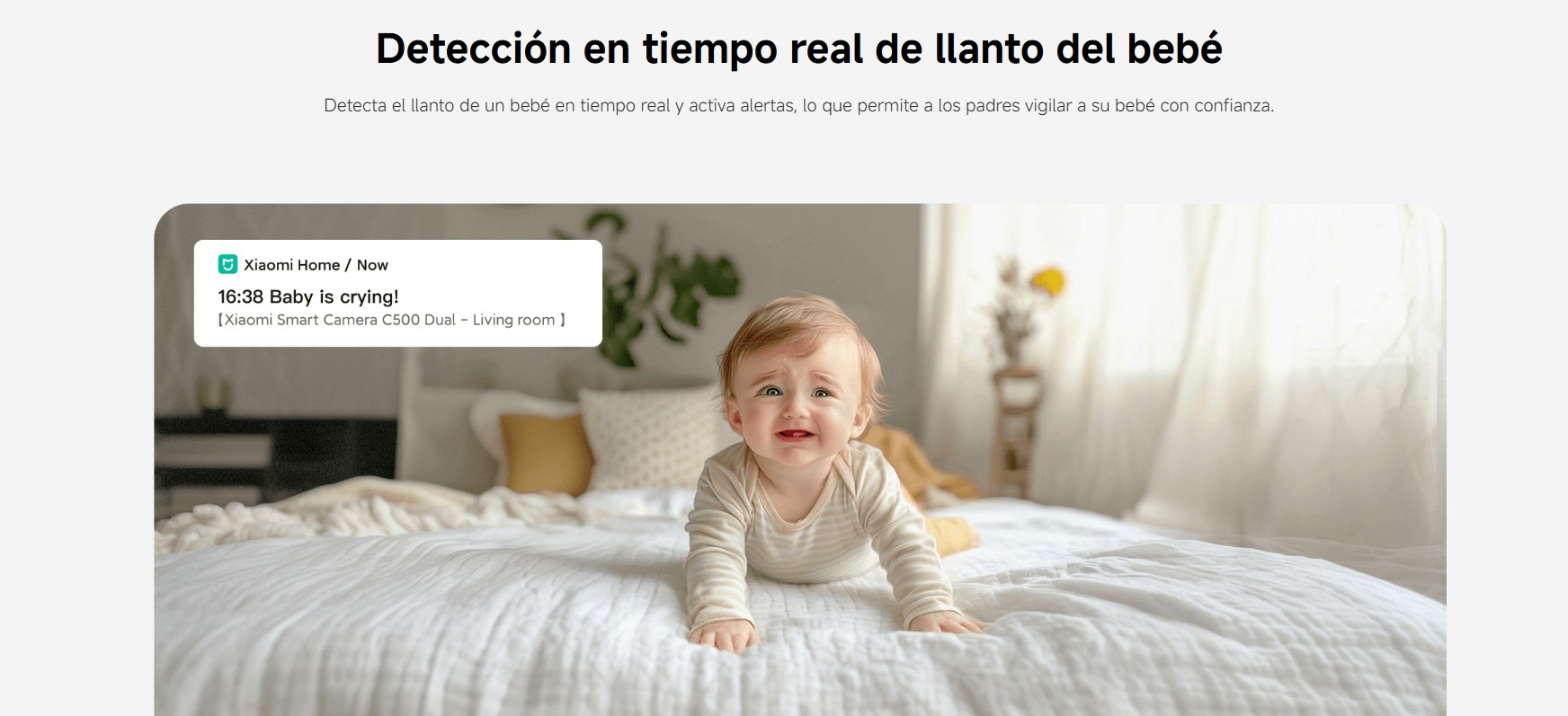 kiboTEK XIAOMI SMART CAMARA C500 DUAL 009