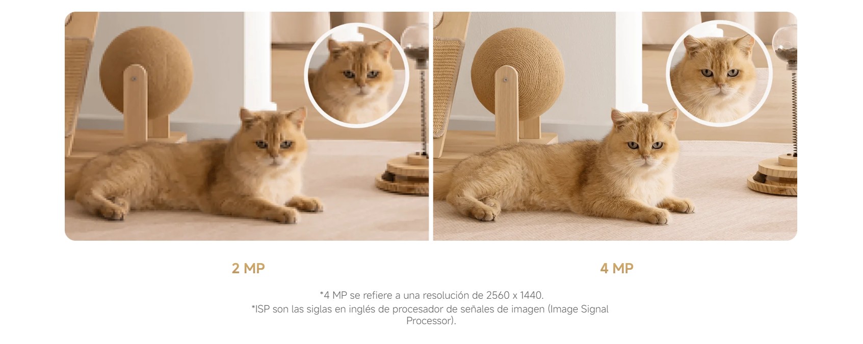 kiboTEK XIAOMI SMART CAMARA C500 DUAL 019